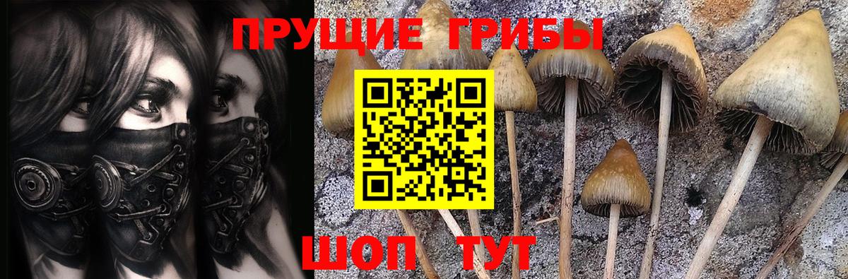 Керчь  Псилоцибиновые грибы MAGIC MUSHROOMS  Вход с VPN 
